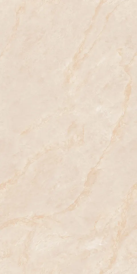 INDO BEIGE SILK view 5